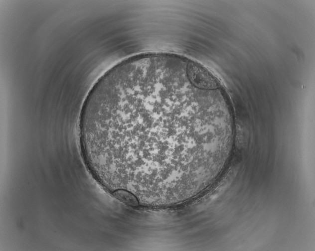 X0000111510895200908111306