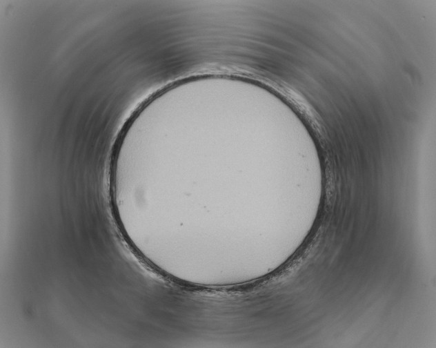 X0000111510896200908111306