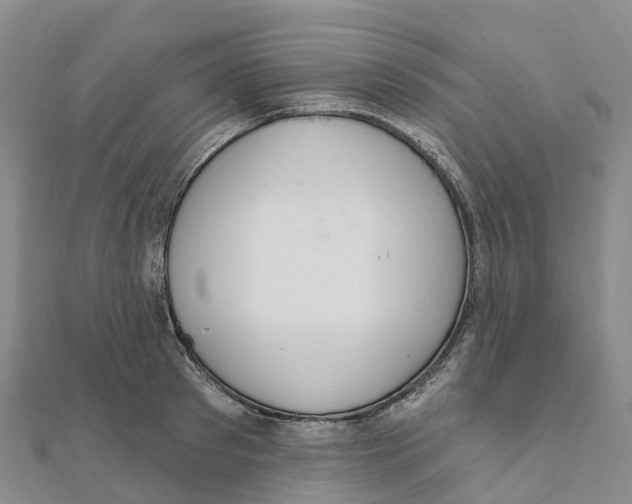 X0000111510897200908111306