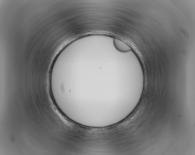 X0000111510898200908111306