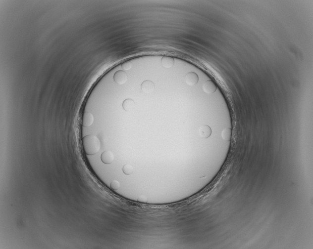 X0000111510899200908111306