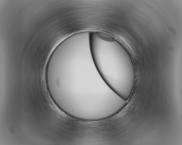X0000111510900200908111306