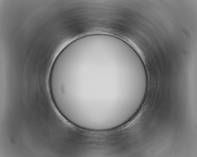 X0000111510901200908111306