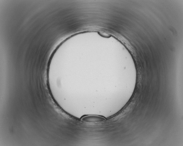 X0000111510904200908111306