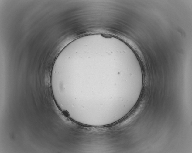 X0000111510905200908111306