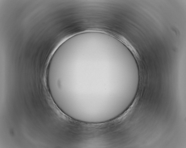 X0000111510908200908111306