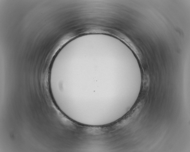 X0000111510909200908111306