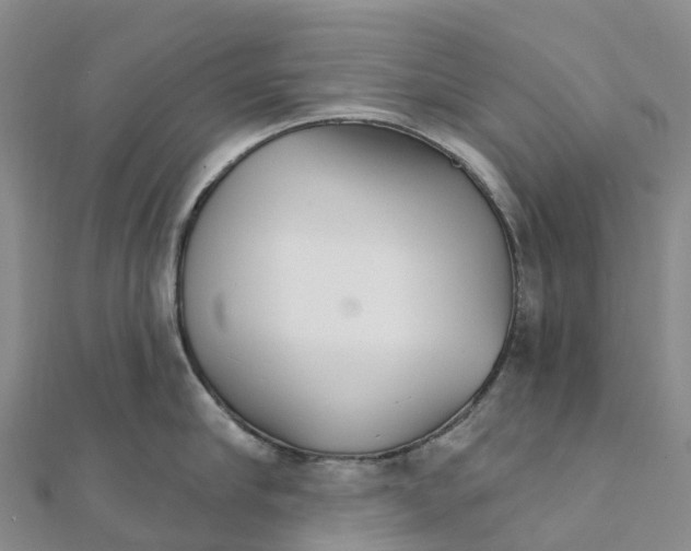 X0000111510910200908111306