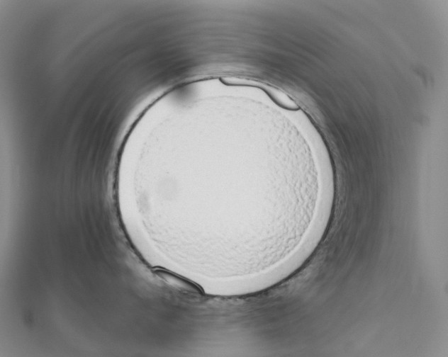 X0000111510912200908111306