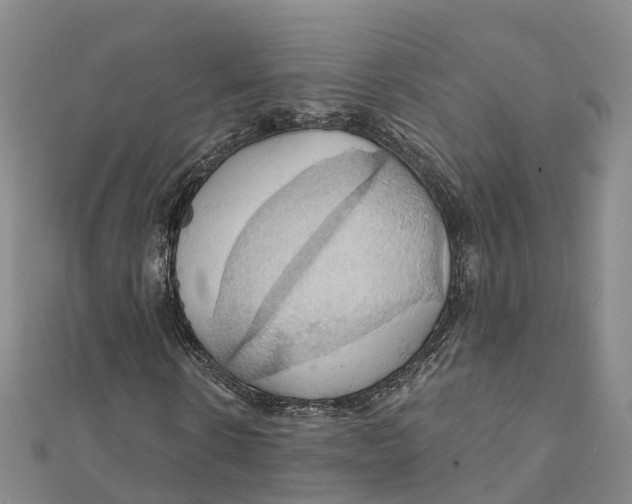 X0000111510914200908111305