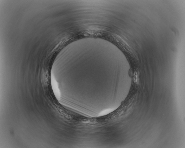 X0000111510915200908111305