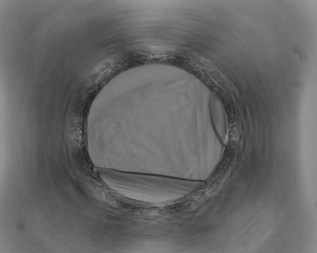 X0000111510916200908111305