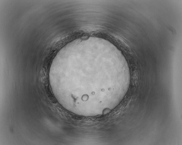 X0000111510917200908111305