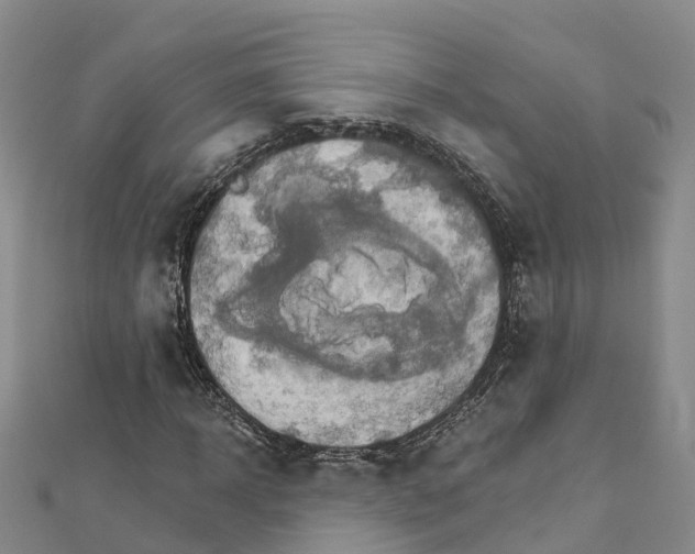 X0000111510918200908111305
