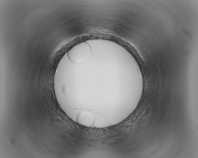 X0000111510919200908111305