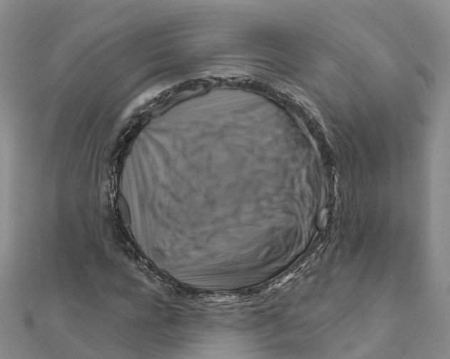X0000111510920200908111306