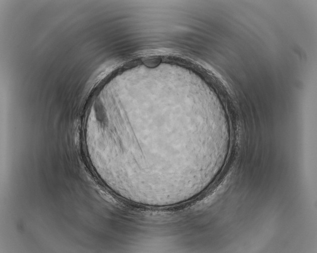 X0000111510921200908111306