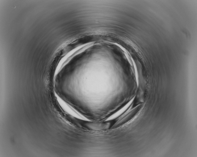X0000111510922200908111306