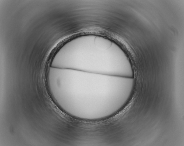 X0000111510923200908111306