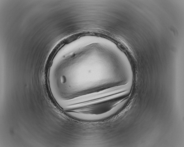 X0000111510924200908111306