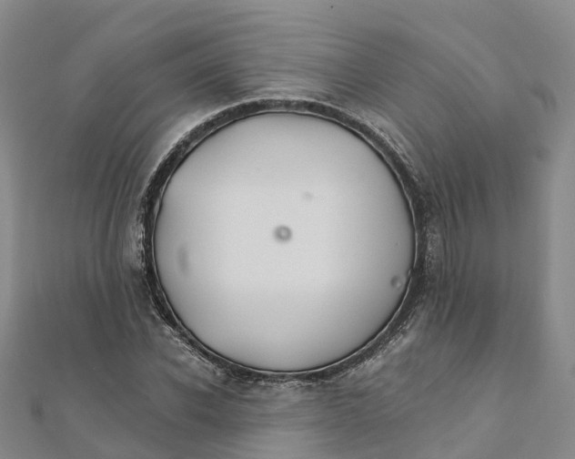 X0000111510926200908111306