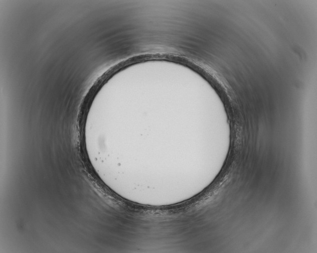 X0000111510927200908111306