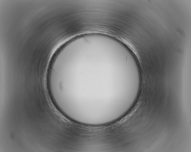 X0000111510928200908111306