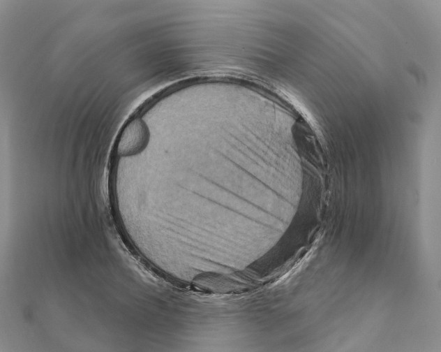 X0000111510932200908111306