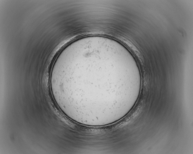 X0000111510933200908111306