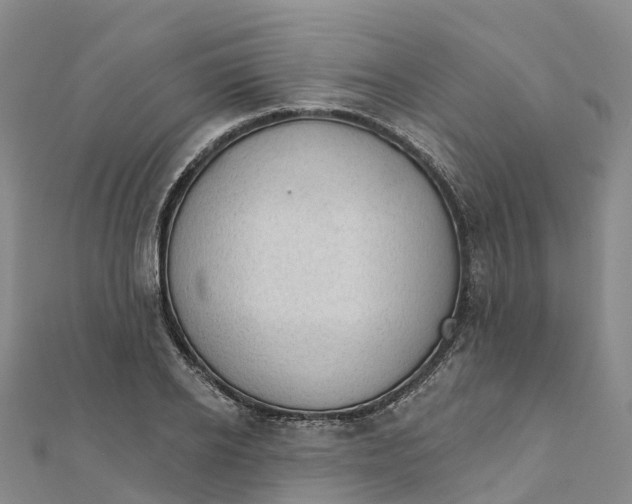 X0000111510934200908111306