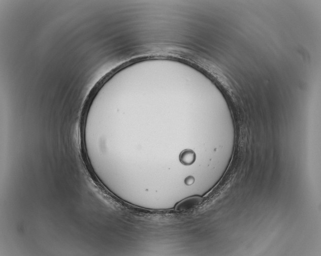 X0000111510936200908111306