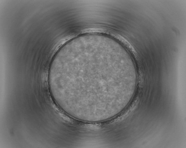 X0000111510937200908111306