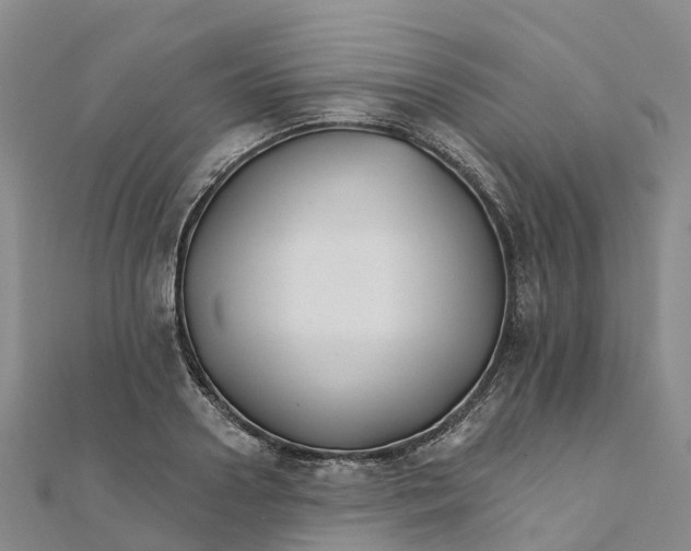 X0000111510938200908111306
