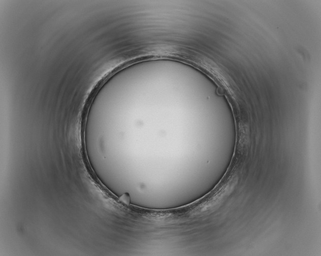 X0000111510939200908111306