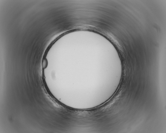 X0000111510940200908111306