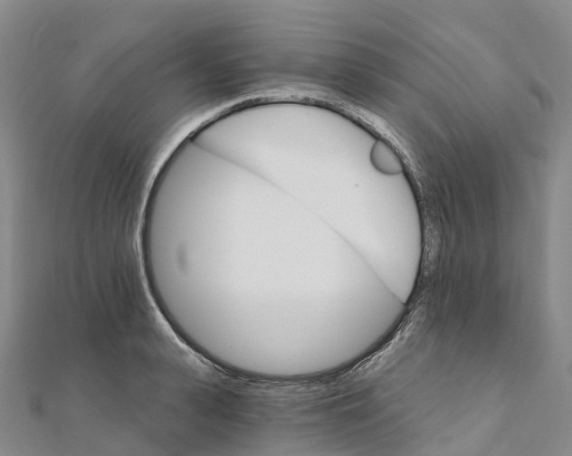 X0000111510943200908111306
