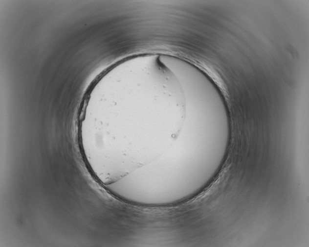 X0000111510944200908111306