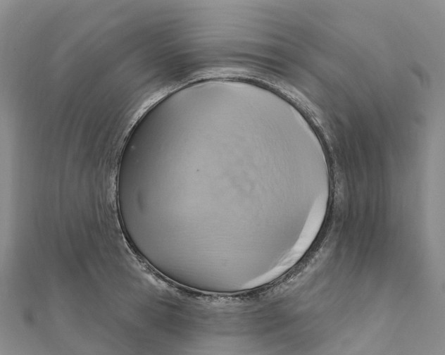 X0000111510945200908111306
