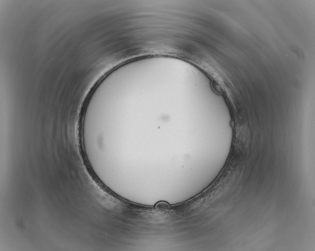 X0000111510947200908111306
