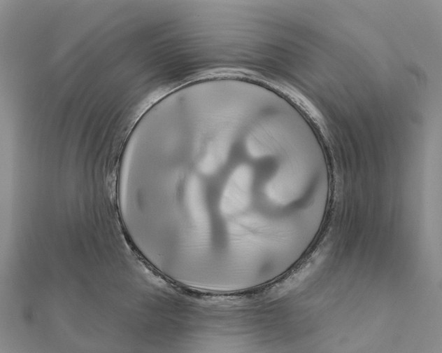 X0000111510953200908111306