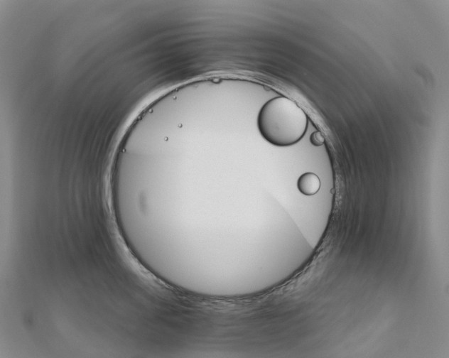 X0000111510955200908111306