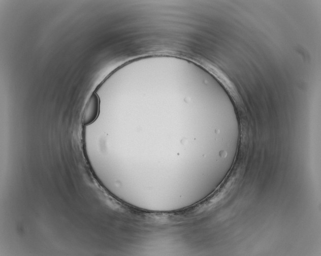 X0000111510956200908111306