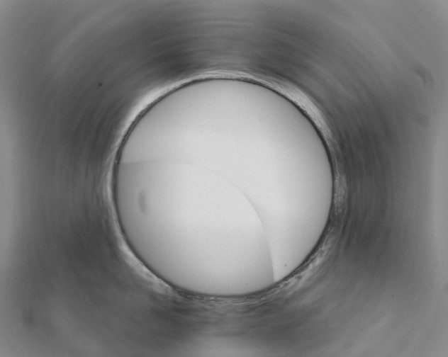 X0000111510958200908111306