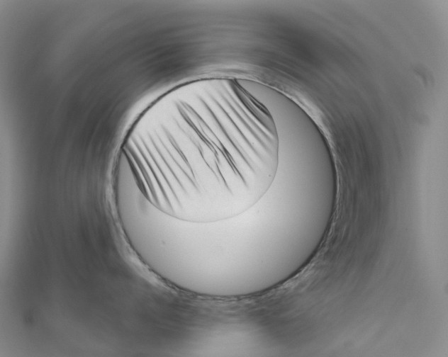 X0000111510960200908111306