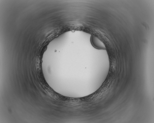 X0000111510964200908111305
