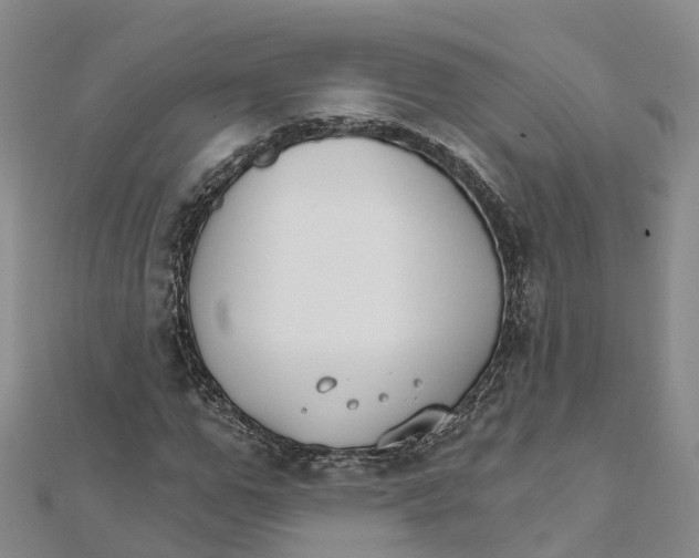 X0000111510967200908111305