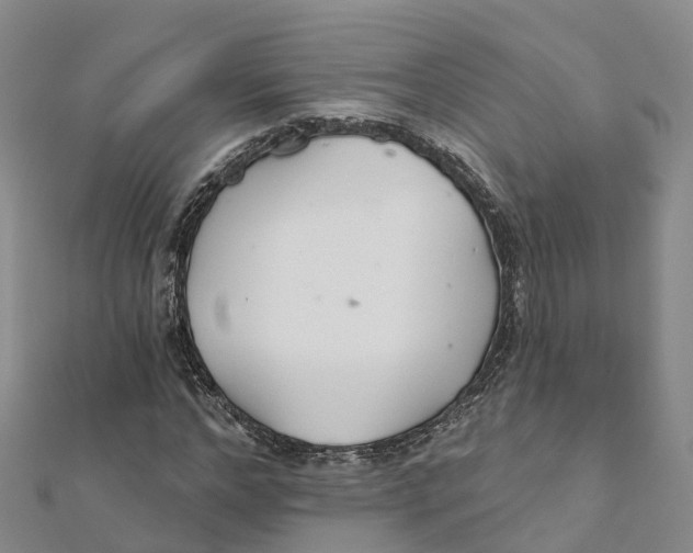 X0000111510968200908111305