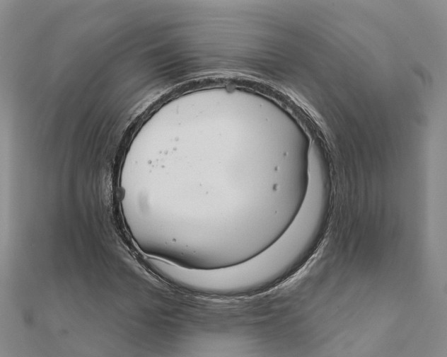 X0000111510969200908111305