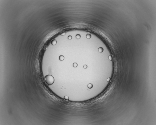 X0000111510970200908111305