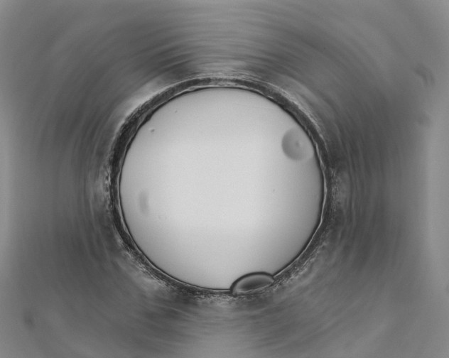X0000111510971200908111305
